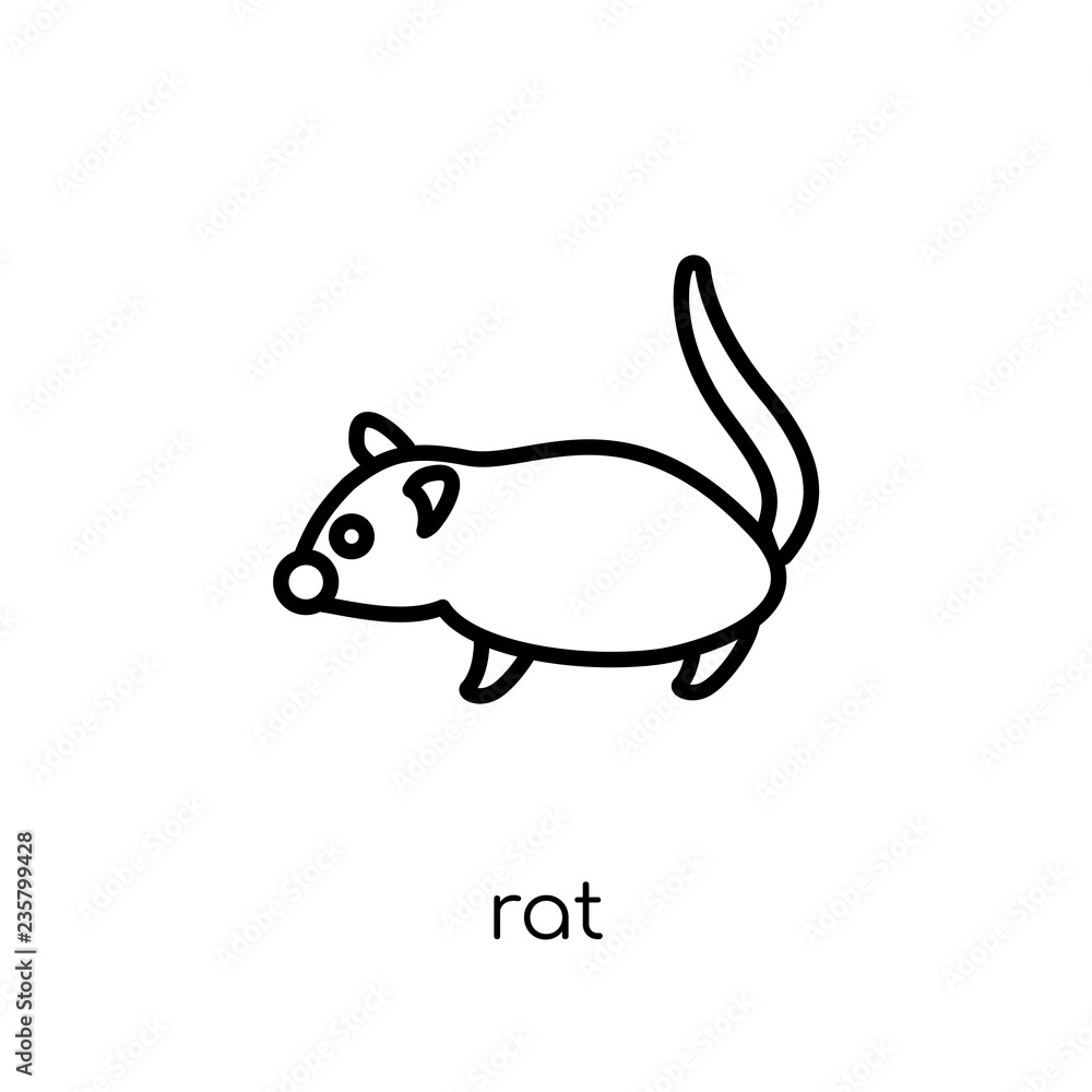 Rat icon. Trendy modern flat linear vector Rat icon on white background from thin line animals collection Rat icon. Trendy modern flat linear vector Rat icon on white background from thin line animals collection
