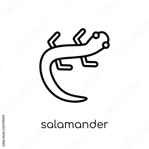 salamander icon. Trendy modern flat linear vector salamander icon on white background from thin line animals collection