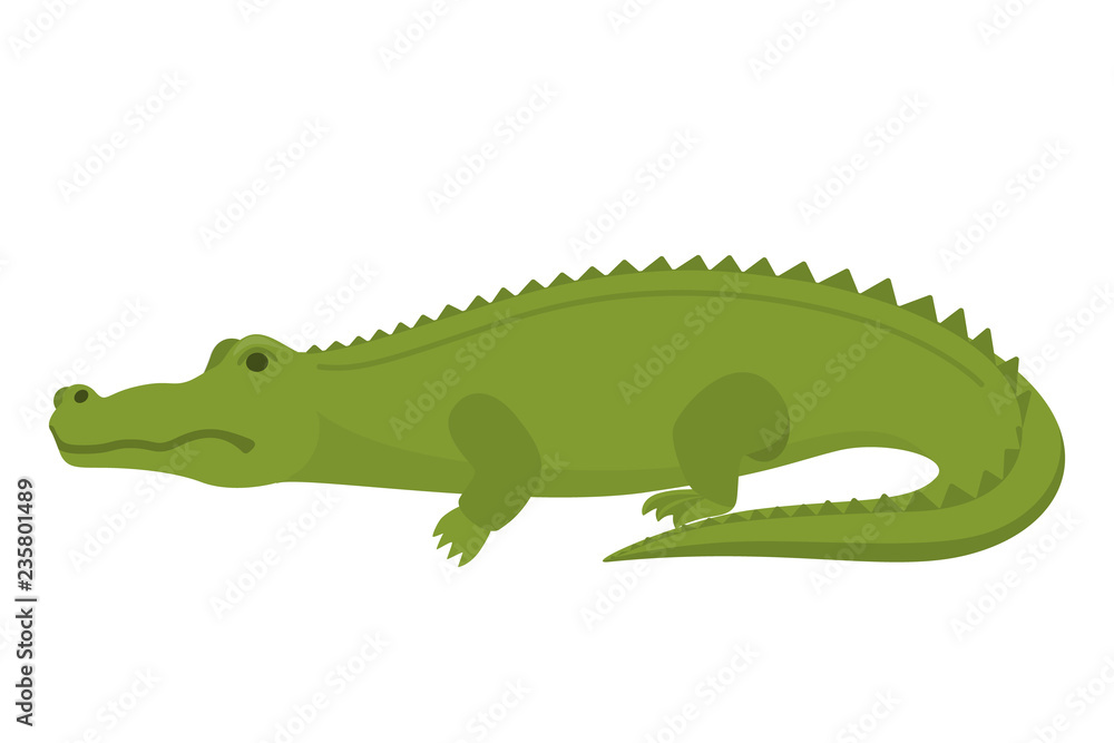 Obraz premium Crocodile or alligator green animal. Wild reptile