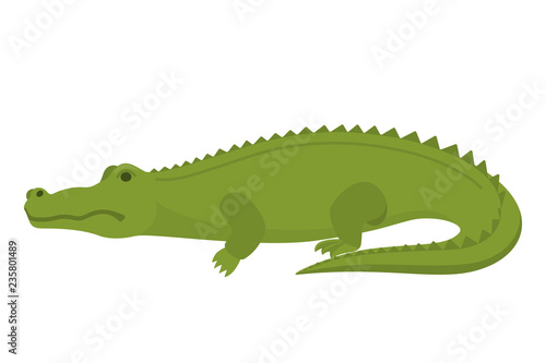 Crocodile or alligator green animal. Wild reptile
