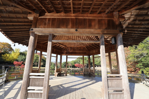奈良公園　浮見堂 © narautsu