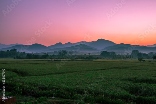 The background of Lanscape (fields, mountains, fog, trees) with intimate view. And fresh in the sight of the journey, light wallpaper of the sun in the morning.