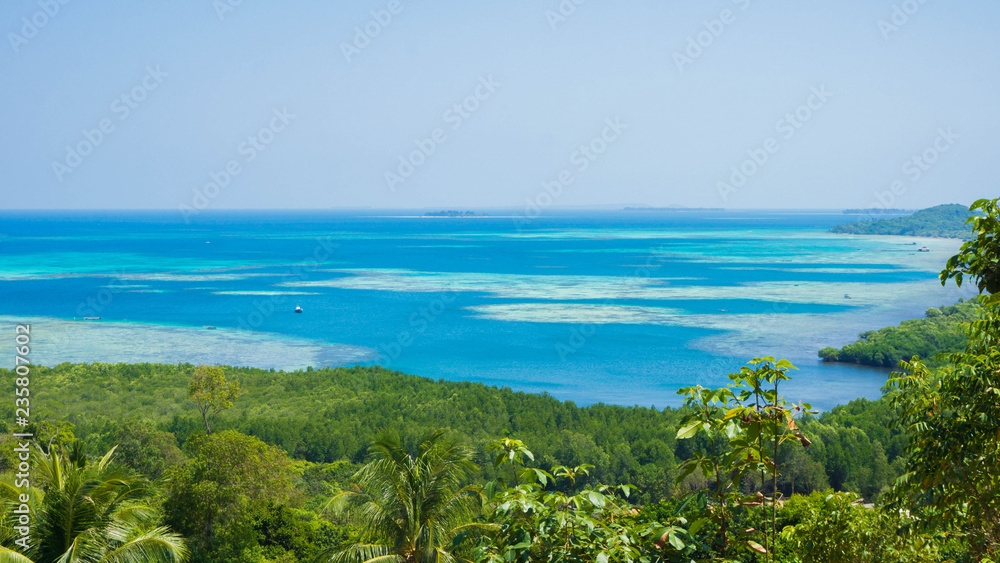 forest jungle green tree with blue water as background in distance with aerial view in karimun jawa forest jungle green tree with blue water as background in distance with aerial view in karimun jawa