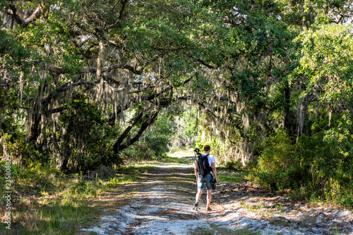 Man travel photographer trekking  walking on landscape with oak trees and trail path in Myakka River State Park Wilderness Preserve in Sarasota  Florida with tripod