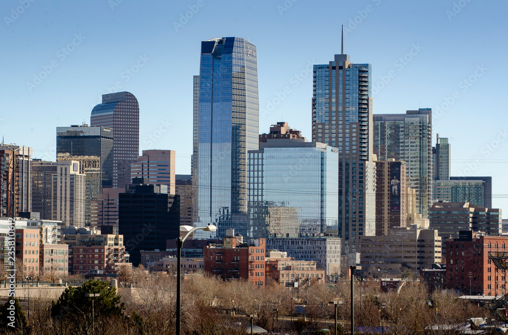 Naklejka premium Denver Skyline
