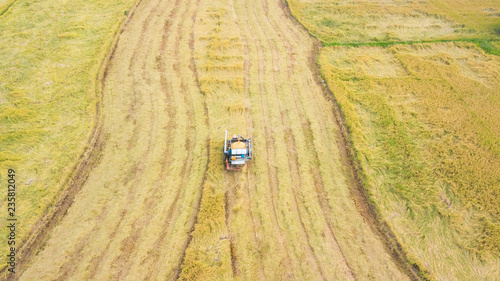 Aerial view of combine machine harvesting rice in a field in Thailand