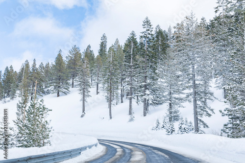 Icy mountain road through forest in winter