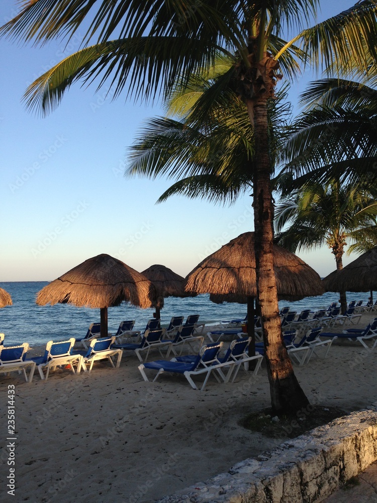 Naklejka premium Cozumel, beach, sea, tropical, sand, palm, ocean, island, water, travel, tree, sky, palm tree, caribbean, paradise, coast, vacation, nature, summer, blue, landscape, holiday, coconut, beautiful, resor