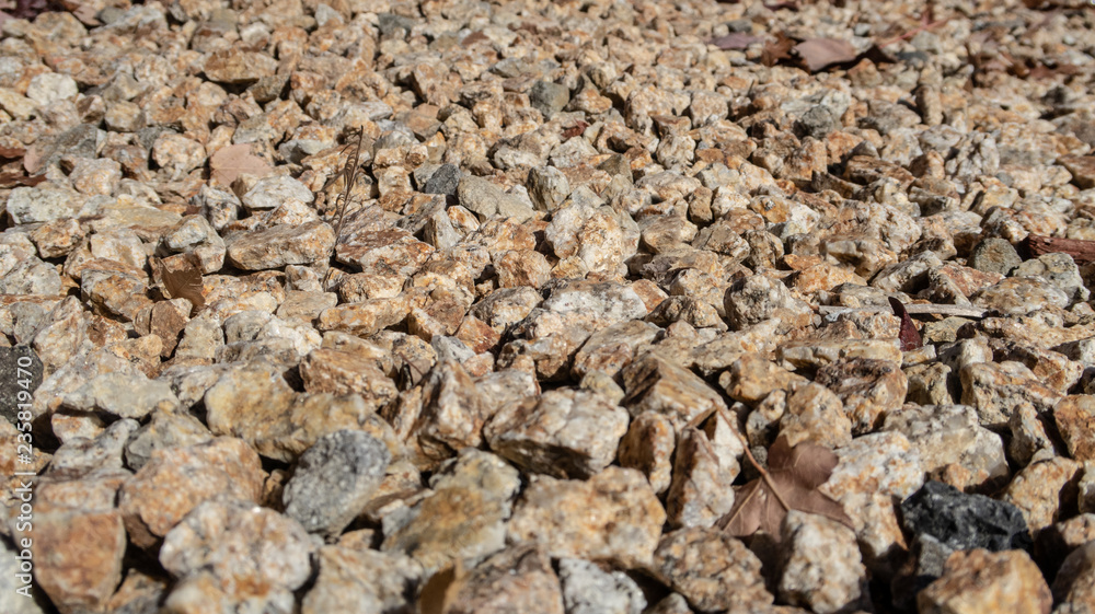 texture of stone texture of stone