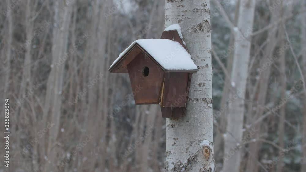 Birdhouse with snow falling. Don Valley, Toronto, Ontario, Canada. Birdhouse with snow falling. Don Valley, Toronto, Ontario, Canada.