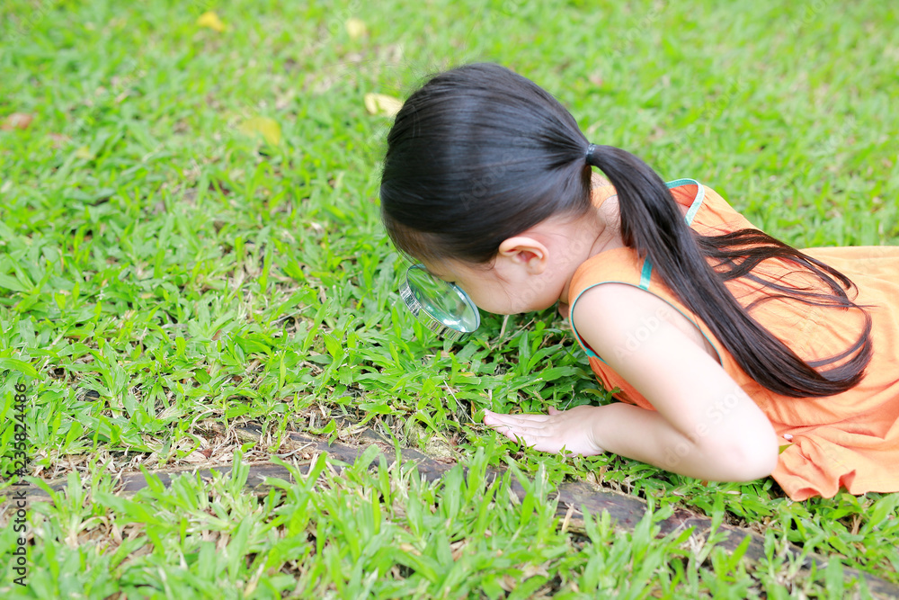 Little Asian child girl with magnifying glass on green grass garden. Close-up nature as researcher. Little Asian child girl with magnifying glass on green grass garden. Close-up nature as researcher.
