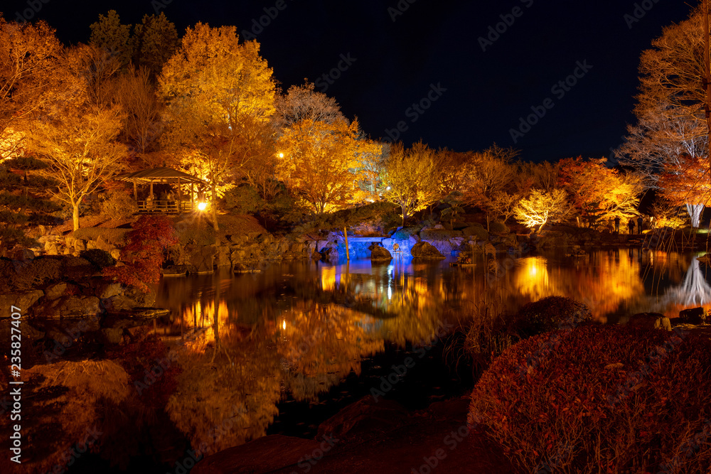 群馬県藤岡市 桜山公園のライトアップ Stock Photo Adobe Stock