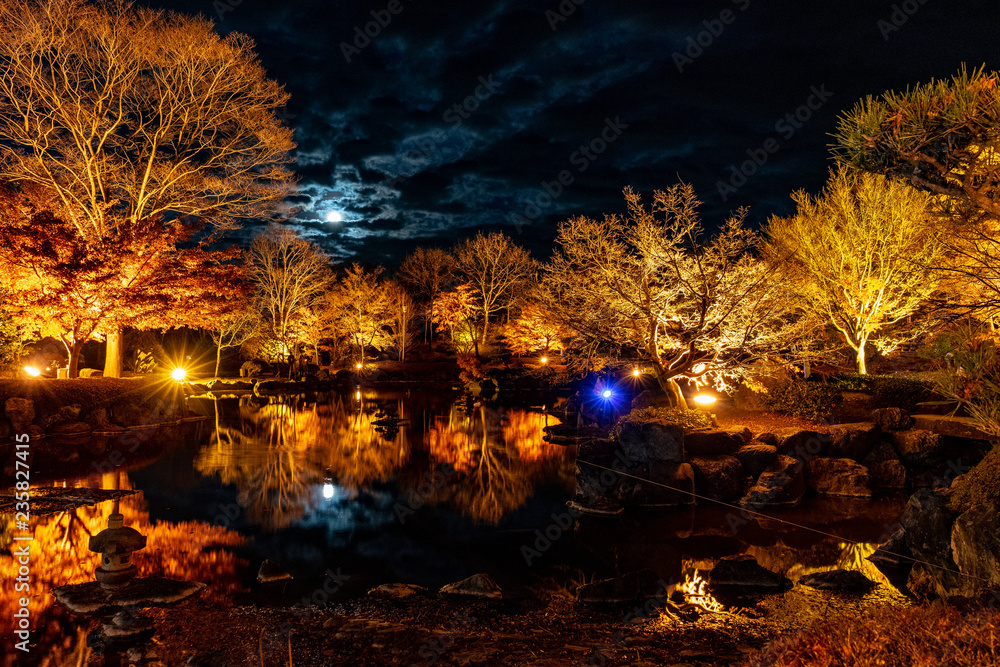 群馬県藤岡市 桜山公園のライトアップと満月 Stock Photo Adobe Stock