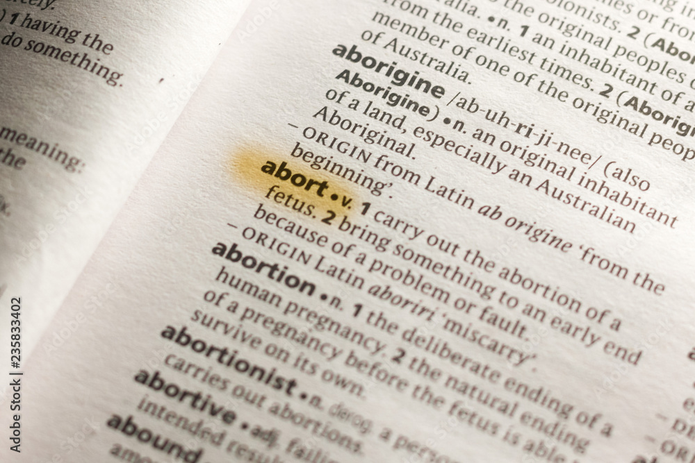 Fototapeta premium The word or phrase Abort in a dictionary.