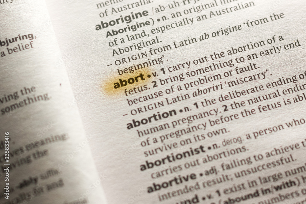Fototapeta premium The word or phrase Abort in a dictionary.