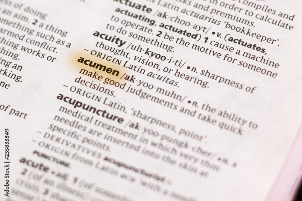 The word or phrase Acumen in a dictionary. The word or phrase Acumen in a dictionary.