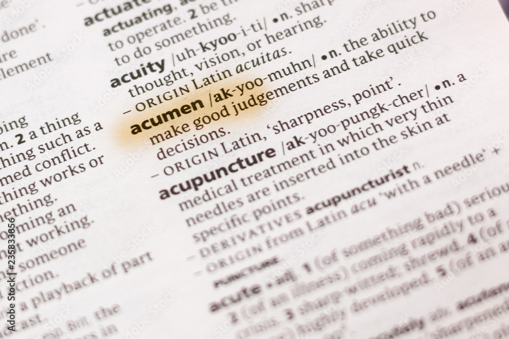 The word or phrase Acumen in a dictionary. The word or phrase Acumen in a dictionary.