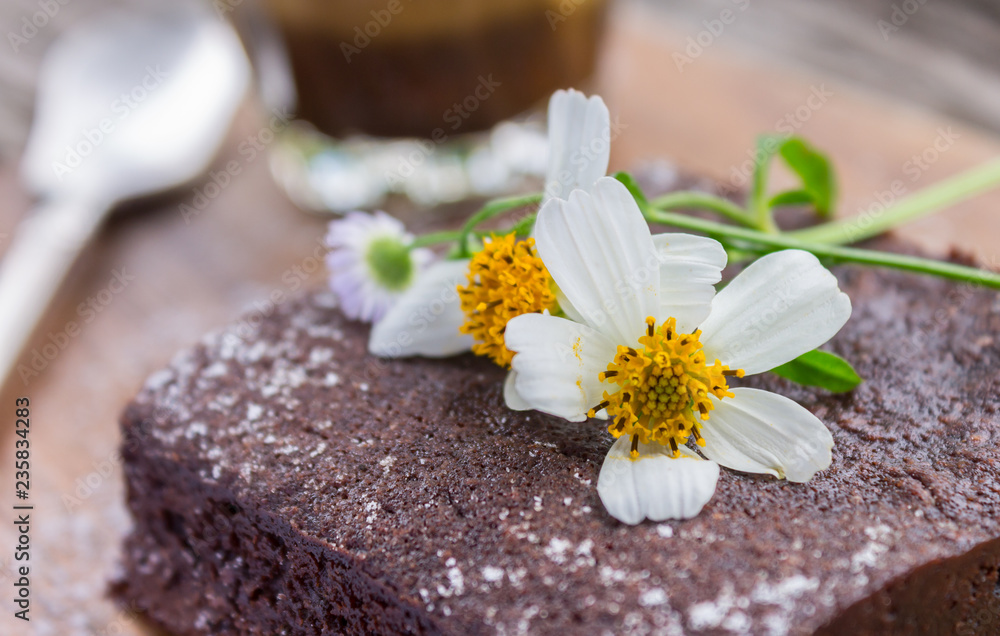 Daisy Flower on Chocolate Brownie Cake with Latte Coffee on Wood Table Right Close Up Daisy Flower on Chocolate Brownie Cake with Latte Coffee on Wood Table Right Close Up