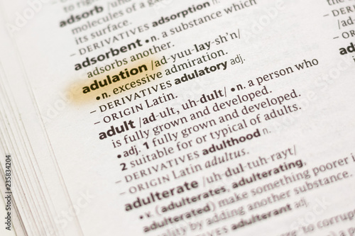 Fotografija The word or phrase Adulation in a dictionary.