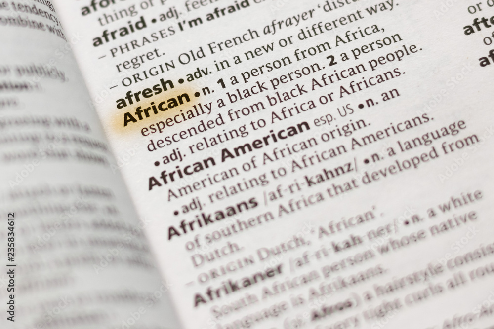 The word or phrase African in a dictionary.