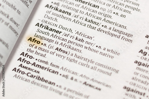 The word or phrase Afro in a dictionary.