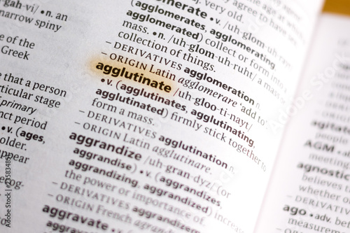 The word or phrase Agglutinate in a dictionary.