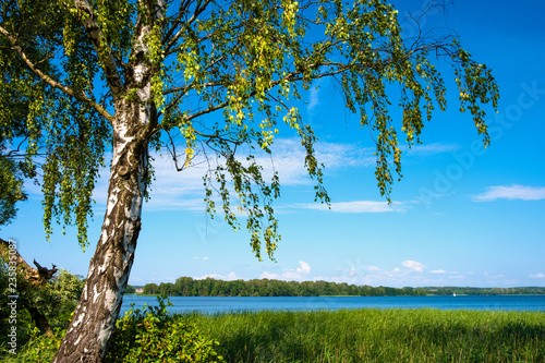 Panoramic view of Wulpinskie Lake at the Masuria Lakeland region in Poland in summer season photo