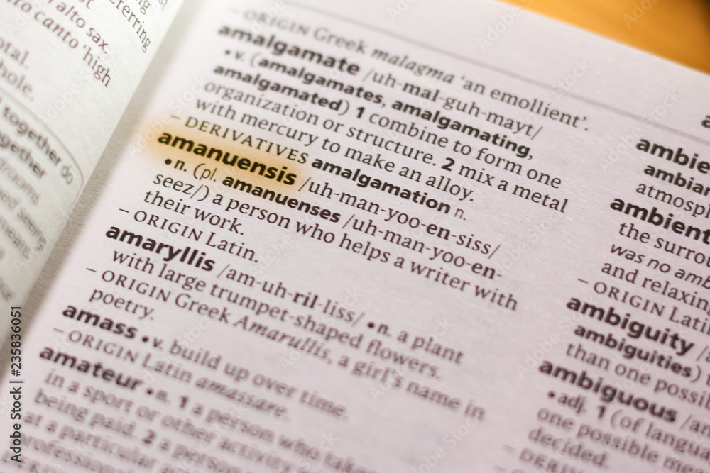 The word or phrase Amanuensis in a dictionary. The word or phrase Amanuensis in a dictionary.