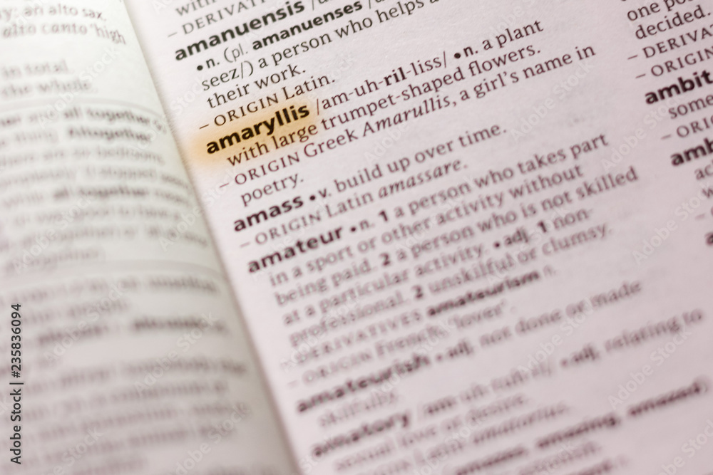 The word or phrase Amaryllis in a dictionary. The word or phrase Amaryllis in a dictionary.