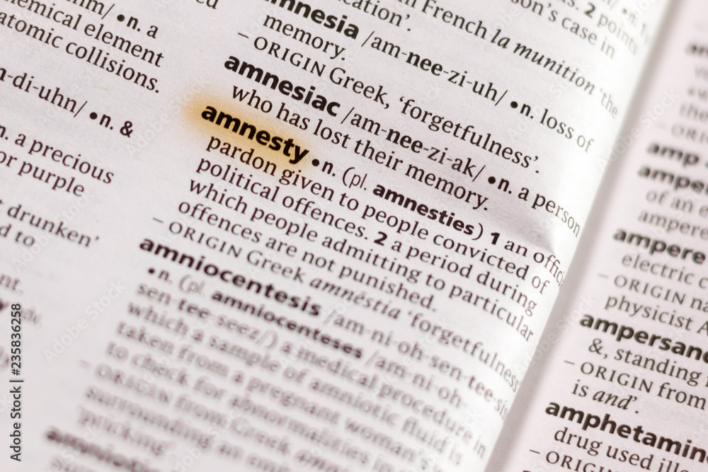 The word or phrase Amnesty in a dictionary. The word or phrase Amnesty in a dictionary.