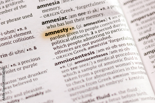 The word or phrase Amnesty in a dictionary.