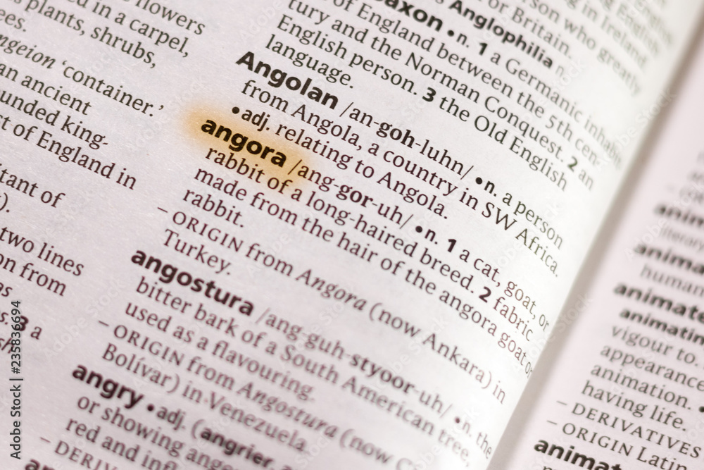 The word or phrase Angora in a dictionary. The word or phrase Angora in a dictionary.