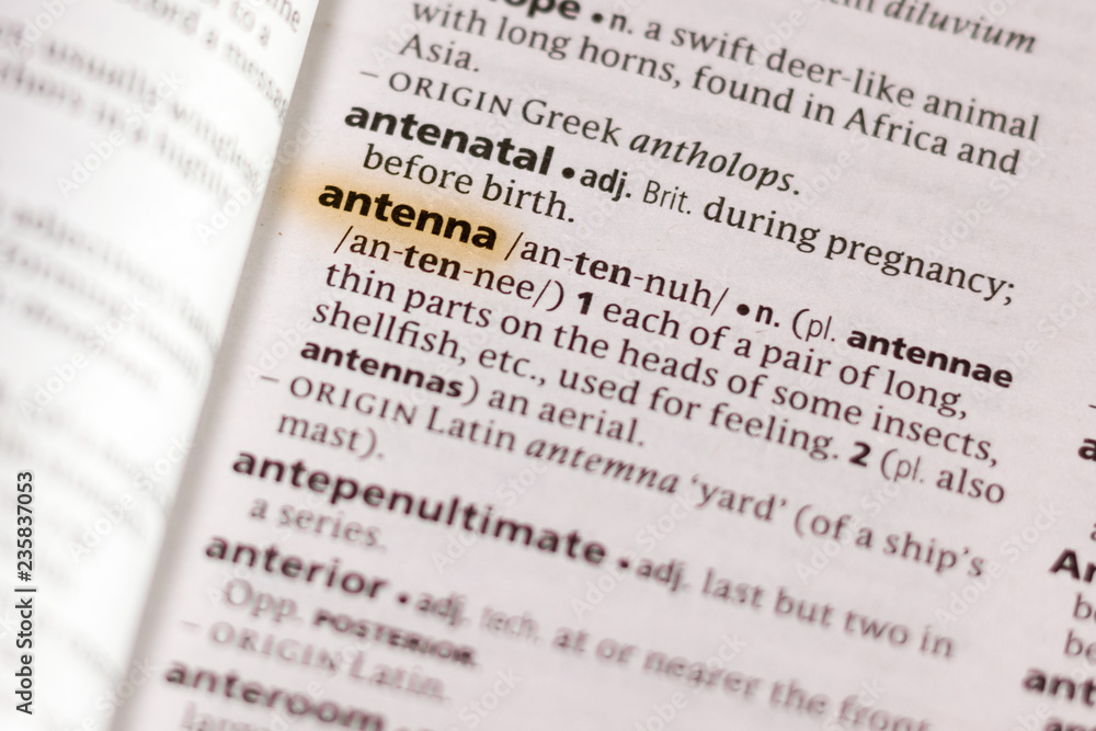 The word or phrase Antenna in a dictionary.