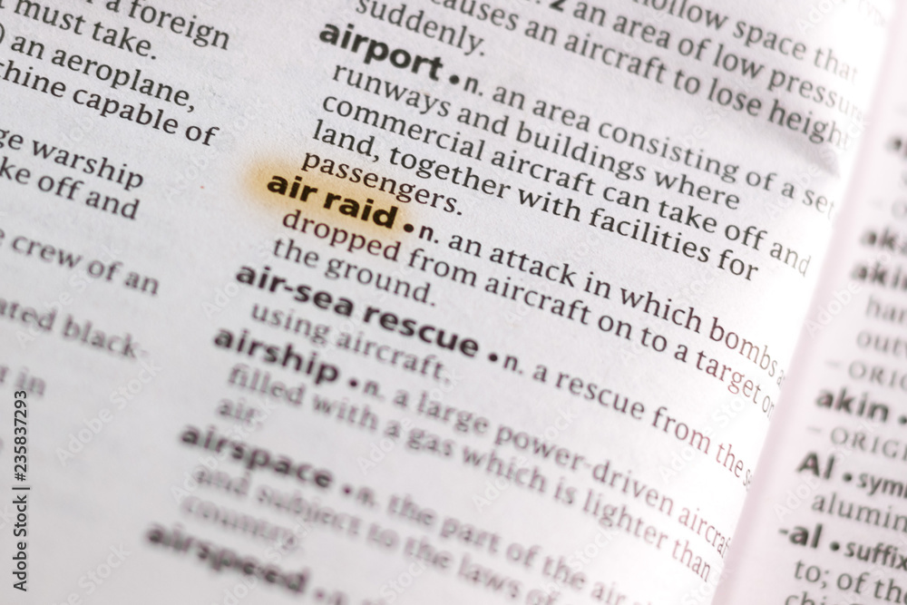 The word or phrase Ari Raid in a dictionary. The word or phrase Ari Raid in a dictionary.