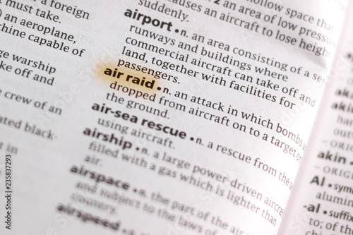 The word or phrase Ari Raid in a dictionary.