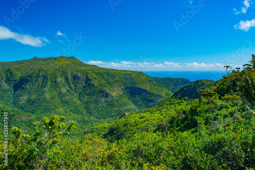 Ile Maurice - Parc National des Gorges de Rivi  re Noire