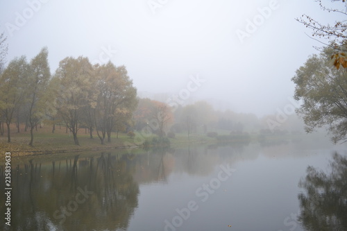 fog over the lake