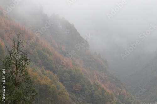 the leaves turn gold and the mist covers most of the area, peaceful and tranquil , it is.