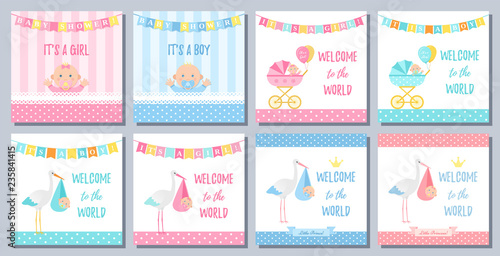 Baby Shower boy girl card. Vector. Sweet pink blue banner with newborn kid, stork, flag, polka dot. Baby girl boy design. Birth party poster Cute template invite background Pastel cartoon illustration