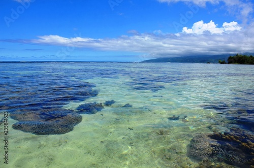 Fototapeta Naklejka Na Ścianę i Meble -  A Week in Paradise: French Plynesia