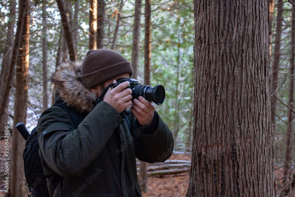 winter forest photographer