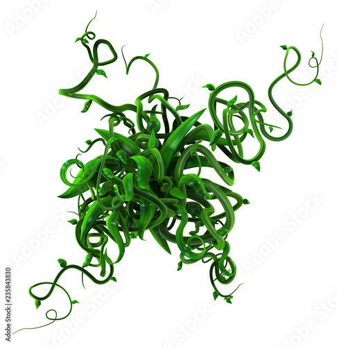 Wallpaper Mural Plant Vines Green, Leaves Core Torontodigital.ca