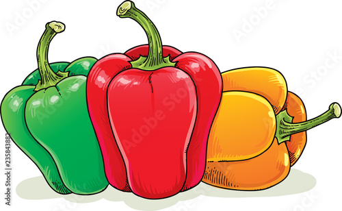Three bell peppers. Isolated on white