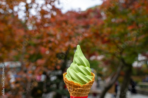 Enjoying delicious sweet japanese matcha green tea ice cream soft serve cone among autumn leaves tree garden blurred background, selective focus
