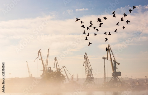 Port cranes in fog in day light