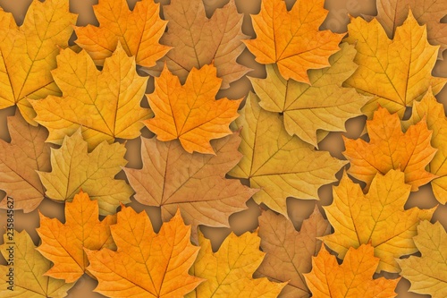 Background of autumn orange maple leaves.