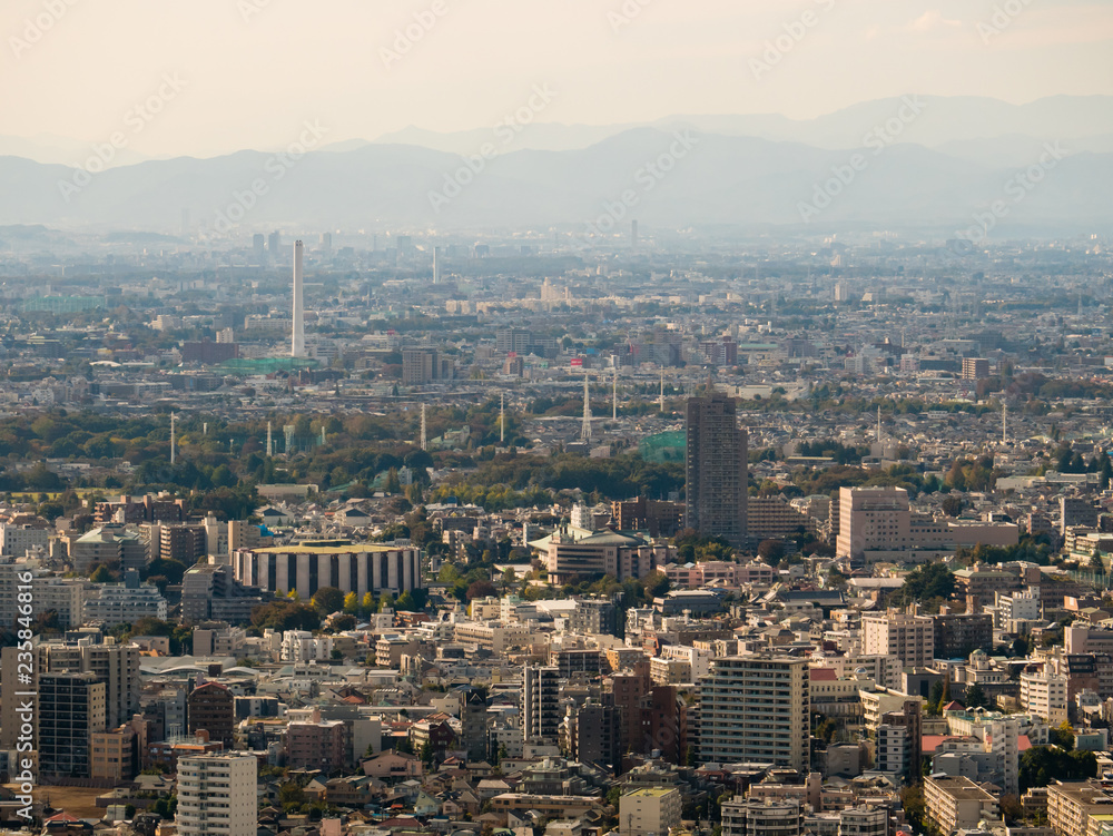 Tokyo cityscape as seen from the Tokyo Metropolitan Government Building in Shinjuku