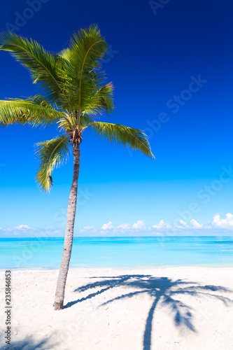 Vacation holidays background wallpaper. Palm and tropical beach in Varadero  Cuba.
