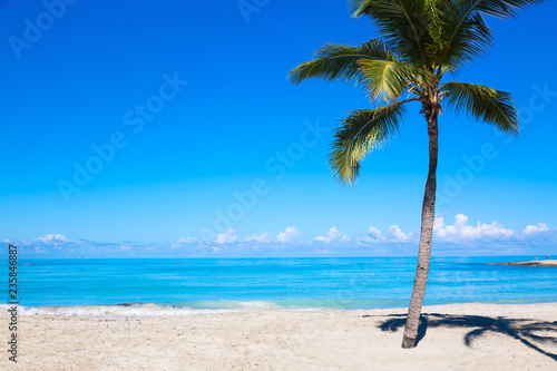 Vacation holidays background wallpaper. Palm and tropical beach in Varadero, Cuba. © Nikolay N. Antonov