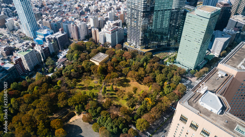 Photography Tokyo cityscape as seen from the Tokyo Metropolitan Government Building in Shinj